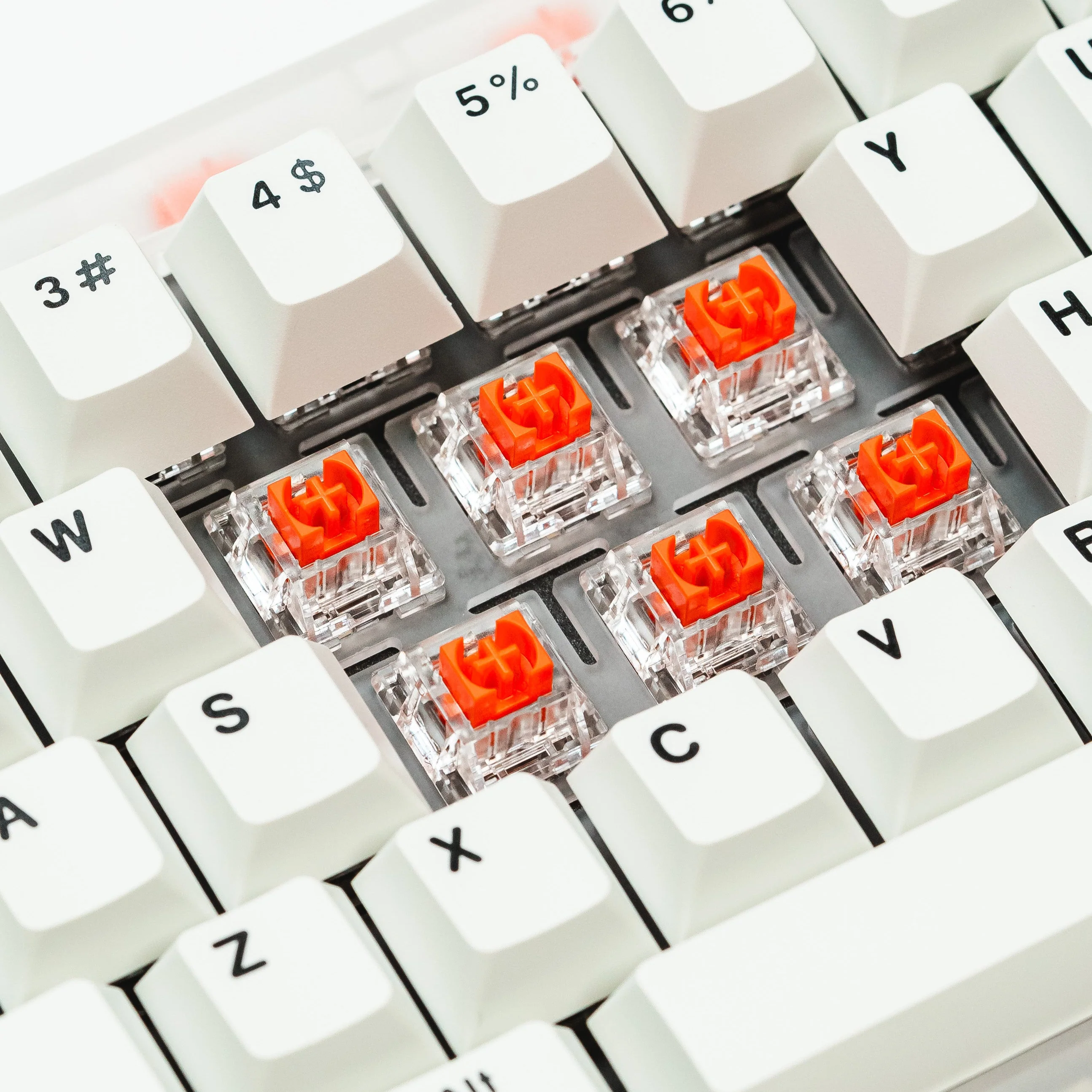 SALMON Tactile Switch 55g by Press Play - Image 10