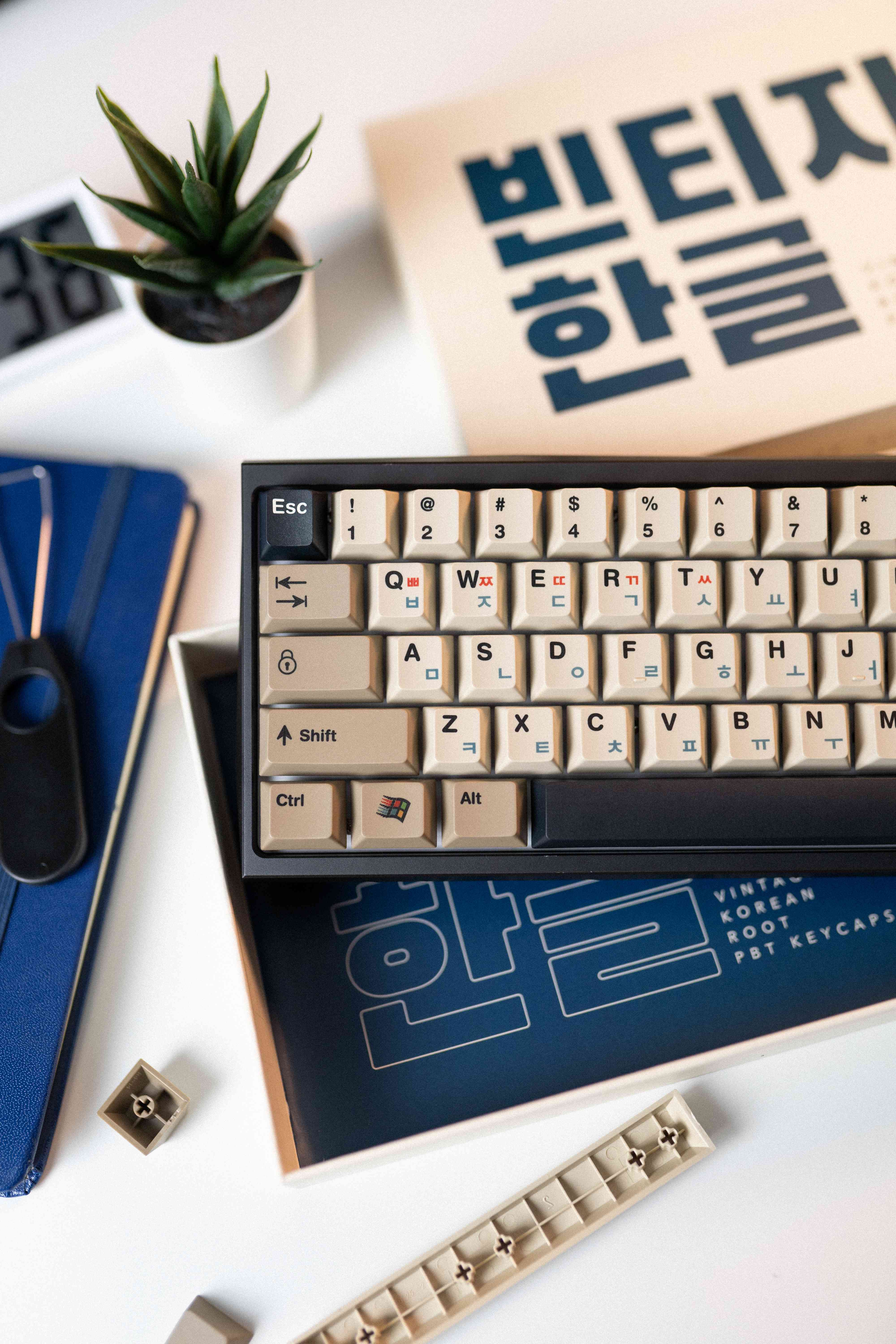 PPBT VINTAGE KOREAN ROOT Dye Sub Keycaps - Image 13
